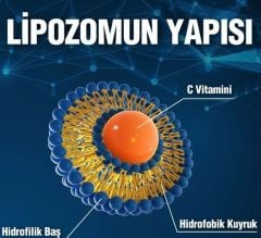 Lipovia Lipozomal Vitamin C 30 Kapsül - (SKT: 03/2025)