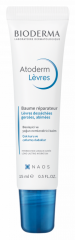 Bioderma Atoderm Levres Lip Balm 15ml - (SKT: 02/2027)